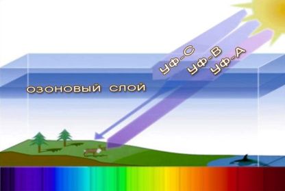 Озоновый слой и УФ-лучи